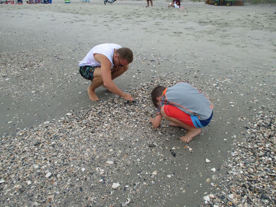 sea shell hunting