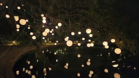 288742304_393938956105867_1877373112316139094_n n