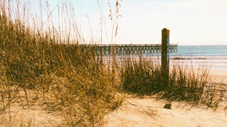 tilghman discover cherrygrove graphic