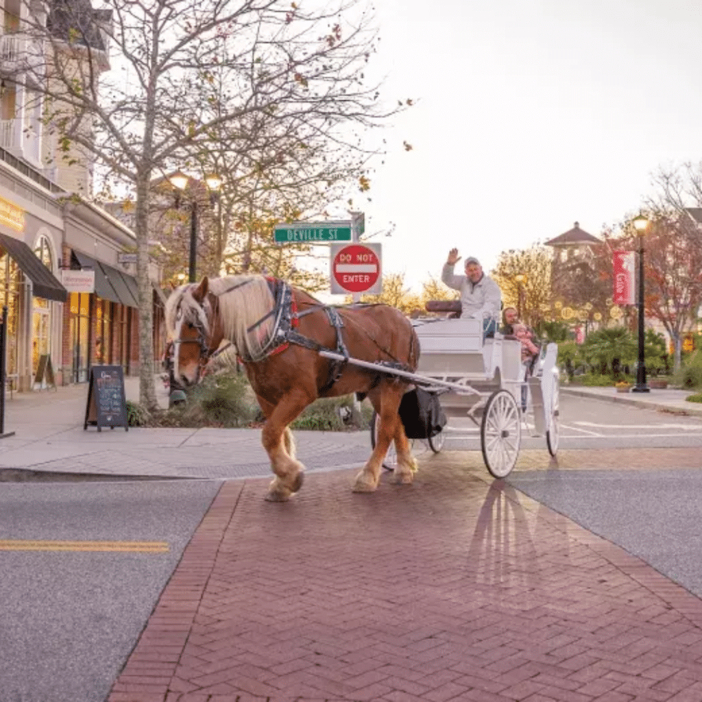 Carriaage rides Carriaage rides