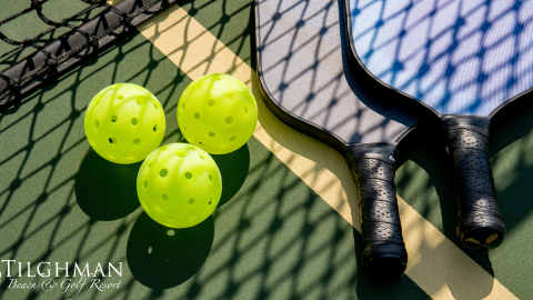 Untitled design Untitled design